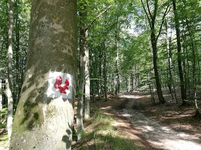 Kaliski Szlak Wiewiórek
