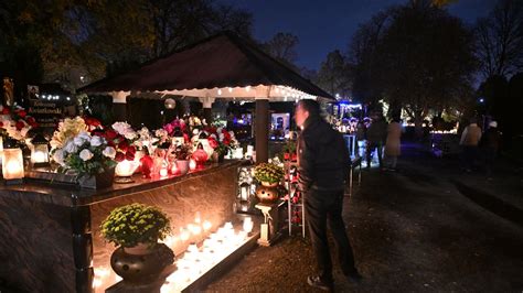 Yulongs! Uppstigandes Ett Myriader av Ben Till En Värld Av Mystik Och Underverk!